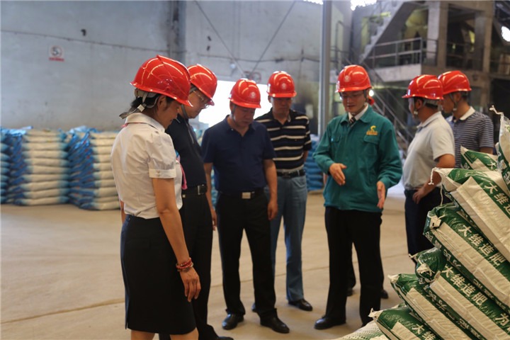 耿克明、、高建嵩到大维肥业等企业调研