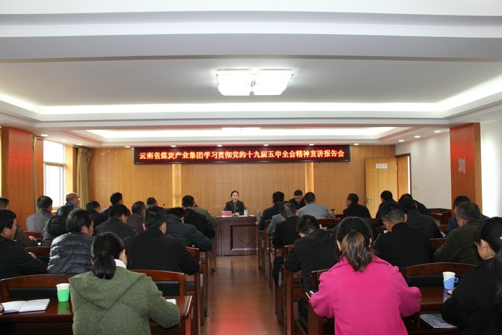 集团党委委员、、财务总监莫晓丹到羊场煤矿宣讲党的十九届五中全会精神