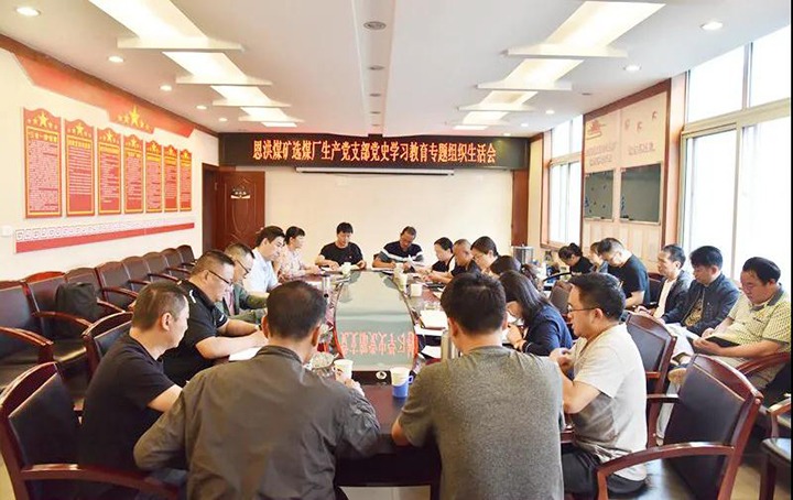 集团党委副书记、、、工会主席王鑫赴恩洪煤矿督导党史学习教育专题组织生涯会