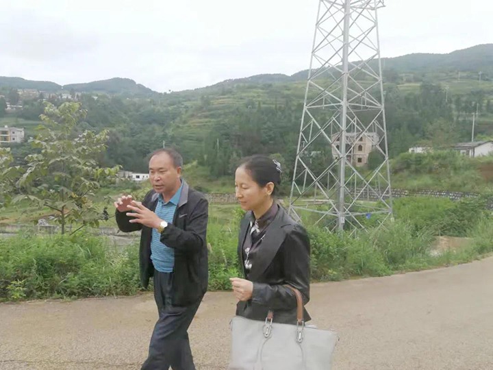 集团党委委员、财务总监莫晓丹一行到羊场口煤业温顺源煤矿开展煤矿项目建设事情专项调研