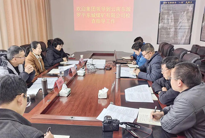 集团党委委员、、、财务总监莫晓丹一行赴罗平东城公司督导调研