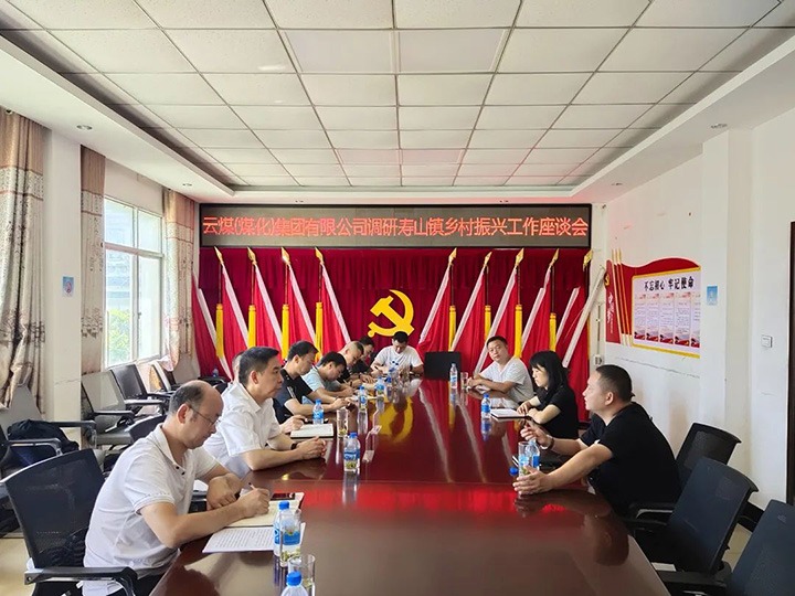 集团党委副书记、、、工会主席王鑫一行深入集团墟落振兴挂钩帮扶点寿山镇调研