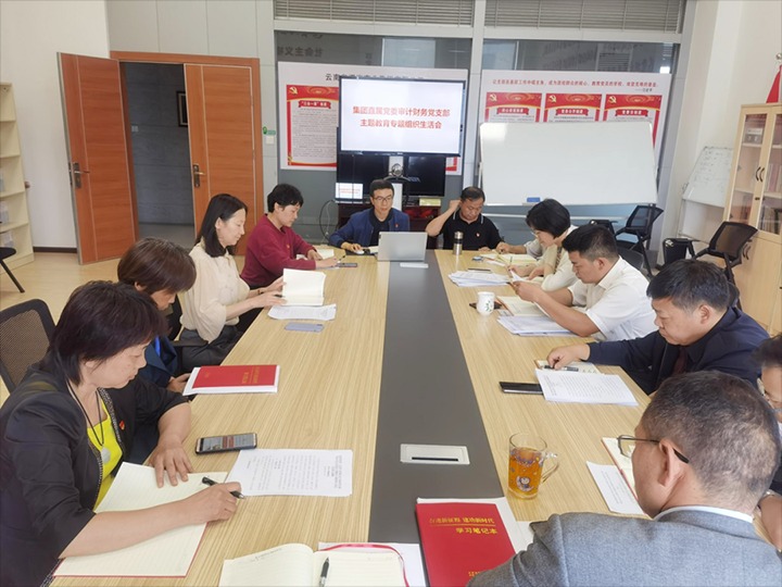 【主题教育】集团直属党委审计财务党支部、、、解化清洁能源公司党委、、、可保煤矿公司党委召开主题教育专题民主（组织）生涯会