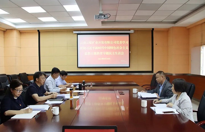 【主题教育】云煤（6008集团官方网站）集团第二指导组到云煤矿业公司指导主题教育专题民主生涯会
