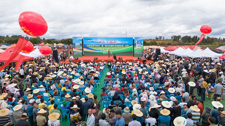 云南解化｜“快递小哥”的三农情怀，温暖民心促生长