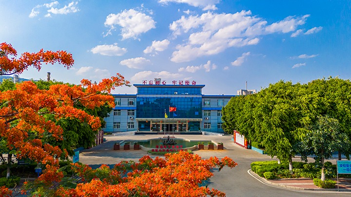 红色基由于引领，，，磨练战场写华章  —— 汗水与智慧交织的磨练历程