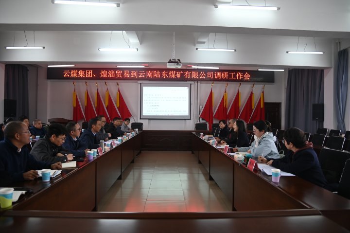 云煤集团党委委员、、财务总监莫晓丹一行到陆东煤矿调研指导事情