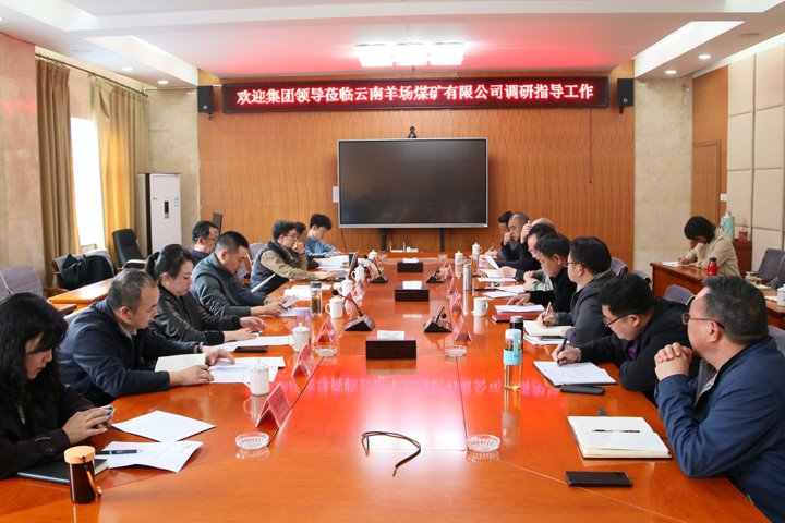 云煤集团党委委员、、、副总司理缪和星到云南羊场煤矿有限公司调研